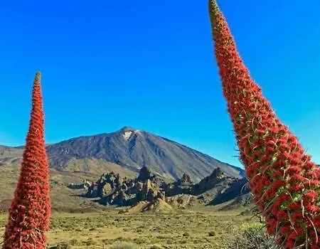 アパート Westhaven Bay コスタ・デル・シレンチオ