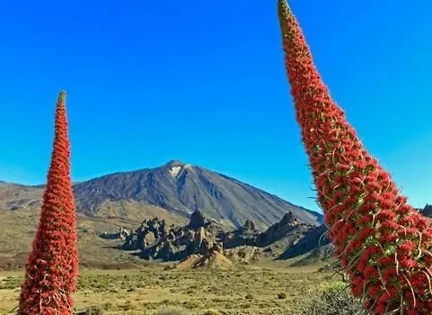 Apartamento Westhaven Bay Costa Del Silencio